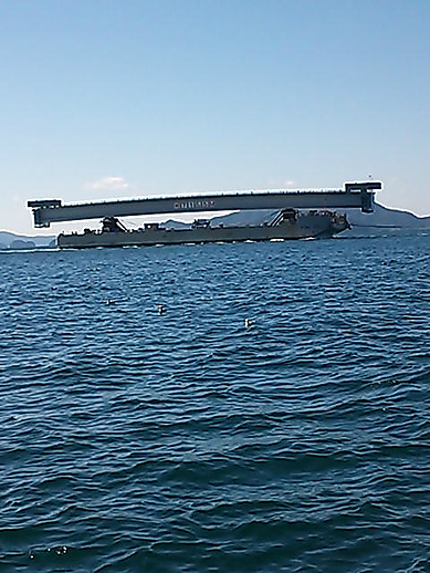 DSC_0113.jpg